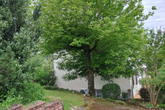 M&M MultiServices Jardinage - Tarbes