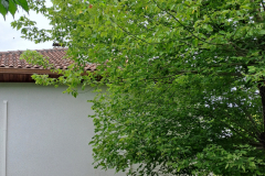 M&M MultiServices Jardinage - Tarbes
