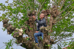 M&M MultiServices Jardinage - Tarbes