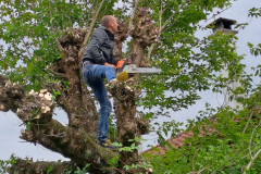 M&M MultiServices Jardinage - Tarbes