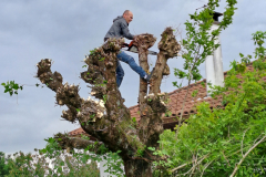 M&M MultiServices Jardinage - Tarbes