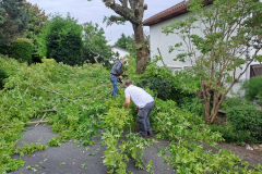 M&M MultiServices Jardinage - Tarbes