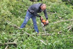 M&M MultiServices Jardinage - Tarbes