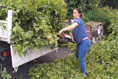M&M MultiServices Jardinage - Tarbes