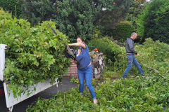 M&M MultiServices Jardinage - Tarbes