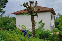 M&M MultiServices Jardinage - Tarbes