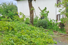 M&M MultiServices Jardinage - Tarbes
