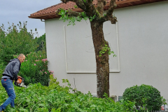 M&M MultiServices Jardinage - Tarbes