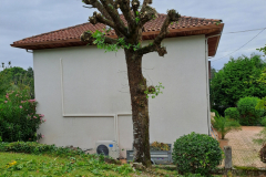 M&M MultiServices Jardinage - Tarbes