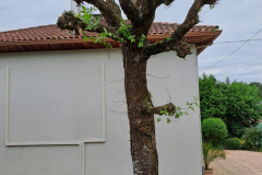 M&M MultiServices Jardinage - Tarbes