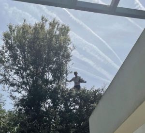 M&M MUJA-MARIN MultiServices Tarbes BRICOLAGE JARDINAGE MENAGE